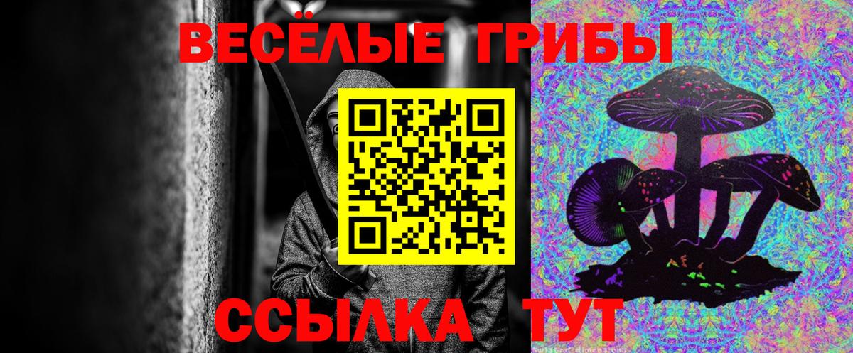 Электросталь  Галлюциногенные грибы MAGIC MUSHROOMS  Вход с VPN 