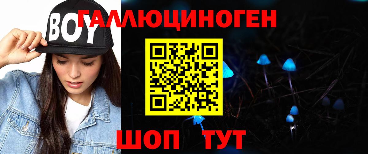 Галлюциногенные грибы Psilocybine cubensis Электросталь